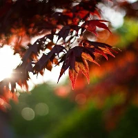 如何通过模拟比赛提升分卫实战经验_1